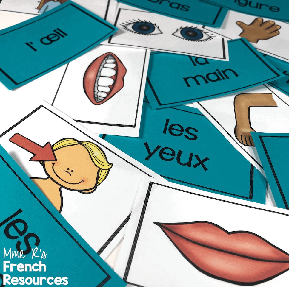 French vocabulary game body parts