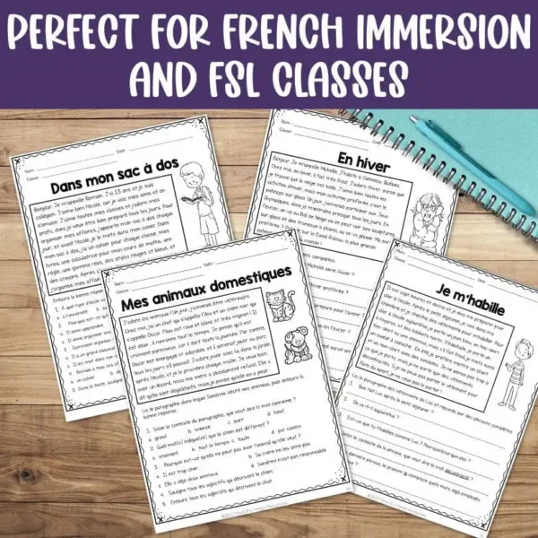 French reading comprehension set 2 - Mme R's French Resources