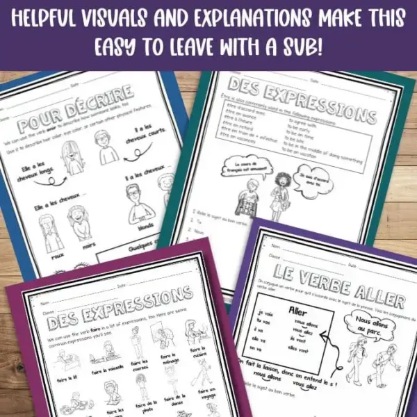 French irregular verbs worksheets - Mme R's French Resources