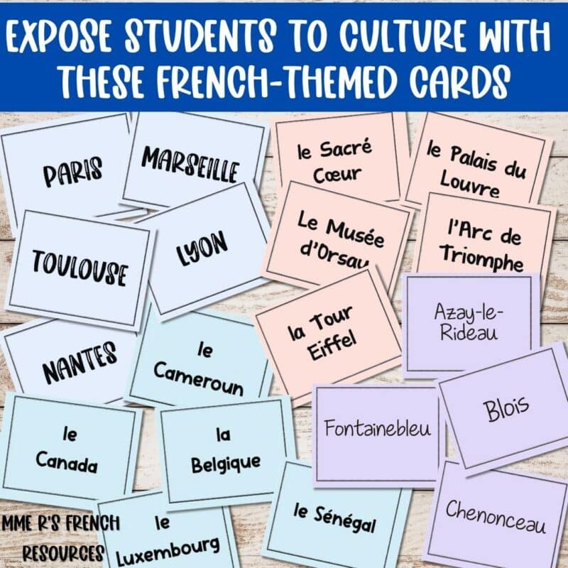 French partner cards for classroom management