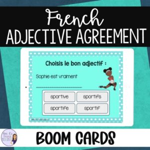 French adjective agreement